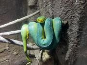 画像(180x135)・拡大画像(640x480)