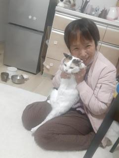 画像(240x320)・拡大画像(480x640)