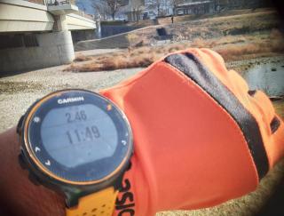 画像(320x243)・拡大画像(640x487)