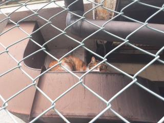 �摜(320x240)�E�g��摜(640x480)