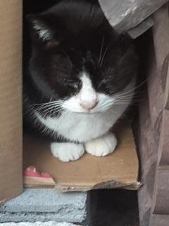 �摜(240x320)�E�g��摜(480x640)