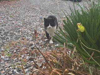 画像(320x240)・拡大画像(640x480)