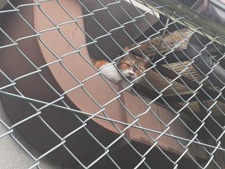 画像(320x240)・拡大画像(640x480)