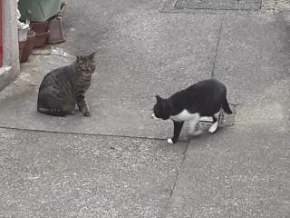 画像(320x240)・拡大画像(640x480)