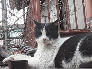 画像(320x240)・拡大画像(640x480)