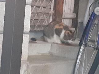 �摜(320x240)�E�g��摜(640x480)