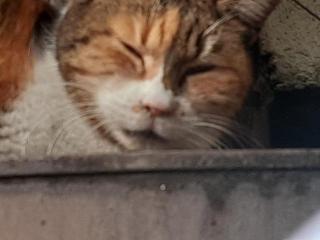 �摜(320x240)�E�g��摜(640x480)