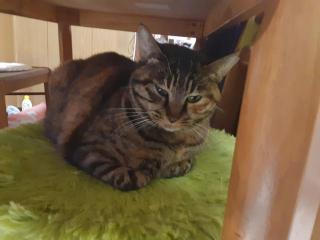 �摜(320x240)�E�g��摜(640x480)