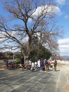 �摜(240x320)�E�g��摜(480x640)