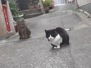 画像(320x240)・拡大画像(640x480)