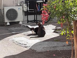 �摜(320x240)�E�g��摜(640x480)