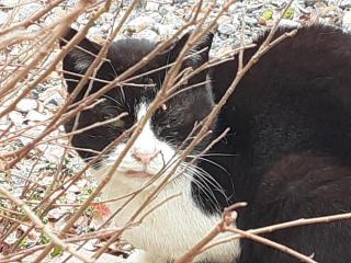 �摜(320x240)�E�g��摜(640x480)