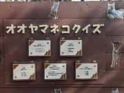 画像(180x135)・拡大画像(640x480)