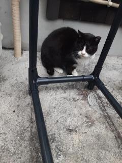 �摜(240x320)�E�g��摜(480x640)