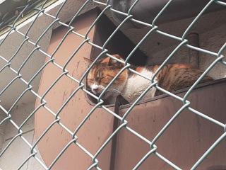 画像(320x240)・拡大画像(640x480)