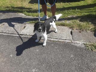 画像(320x240)・拡大画像(640x480)