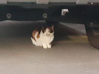 画像(320x240)・拡大画像(640x480)