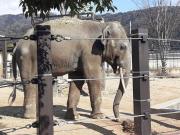 画像(180x135)・拡大画像(640x480)