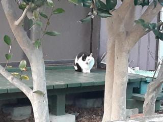 �摜(320x240)�E�g��摜(640x480)