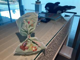 �摜(320x240)�E�g��摜(640x480)