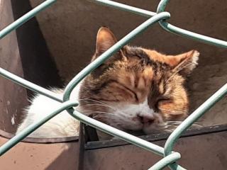 �摜(320x240)�E�g��摜(640x480)