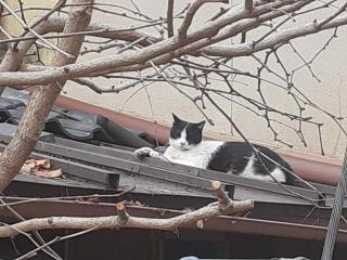 画像(320x240)・拡大画像(640x480)