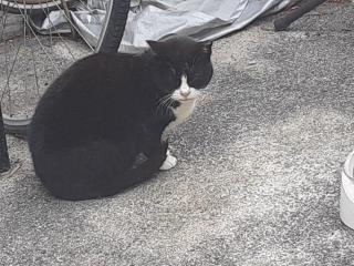 画像(320x240)・拡大画像(640x480)