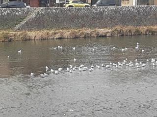 �摜(320x240)�E�g��摜(640x480)