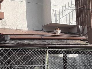 �摜(320x240)�E�g��摜(640x480)