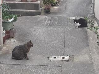 画像(320x240)・拡大画像(640x480)