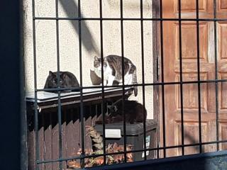 画像(320x240)・拡大画像(640x480)