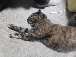 �摜(320x240)�E�g��摜(640x480)