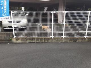 �摜(320x240)�E�g��摜(640x480)