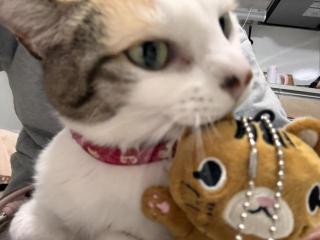 �摜(320x240)�E�g��摜(640x480)