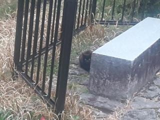 画像(320x240)・拡大画像(640x480)