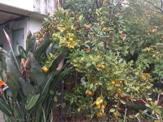 �摜(320x240)�E�g��摜(640x480)