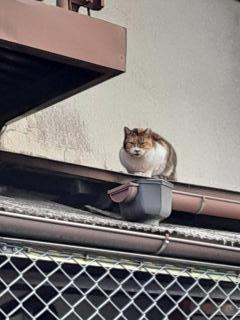 �摜(240x320)�E�g��摜(480x640)