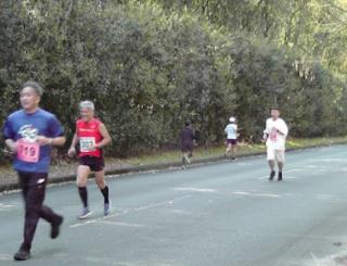 画像(320x245)・拡大画像(582x446)