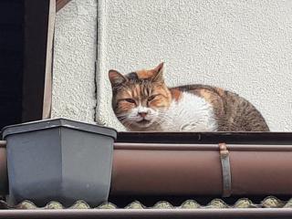 �摜(320x240)�E�g��摜(640x480)