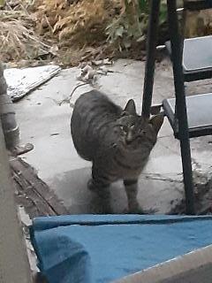 �摜(240x320)�E�g��摜(480x640)