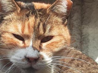 �摜(320x240)�E�g��摜(640x480)