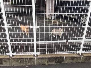 �摜(320x240)�E�g��摜(640x480)