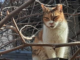 �摜(320x240)�E�g��摜(640x480)