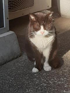 �摜(240x320)�E�g��摜(480x640)