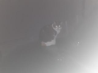 �摜(320x240)�E�g��摜(640x480)