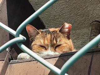 �摜(320x240)�E�g��摜(640x480)