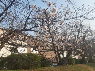 画像(320x240)・拡大画像(640x480)