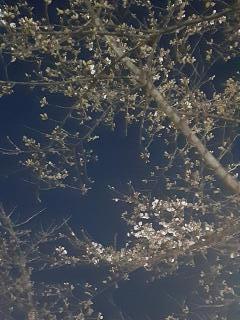 �摜(240x320)�E�g��摜(480x640)