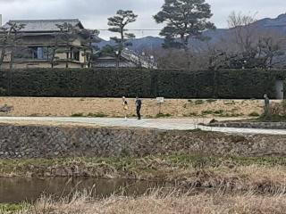 画像(320x240)・拡大画像(640x480)