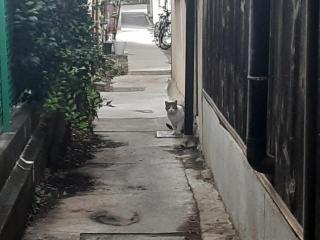 �摜(320x240)�E�g��摜(640x480)